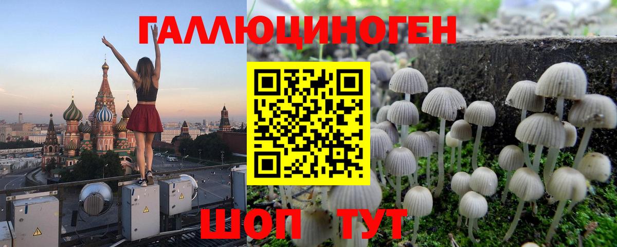 где найти наркотики  Вход с VPN  Гусиноозёрск  Галлюциногенные грибы MAGIC MUSHROOMS 